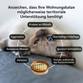 Instinkt Katzenkorb – Natürlicher Rückzugsort für Wohnungskatzen