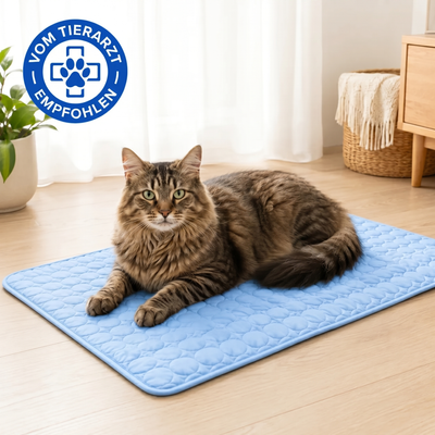 Schütze deine Katze vor Hitzschlag mit der Wooflyx™ Kühlmatte