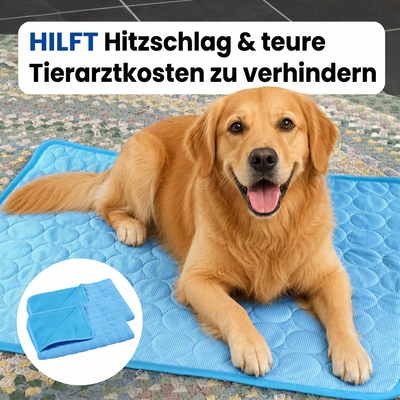 Schütze deinen Hund vor Hitzschlag mit der Wooflyx™ Kühlmatte