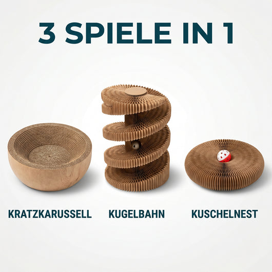 Wooflyx SchnurrSpirale™ Das interaktive 3-in-1 Katzenspielzeug