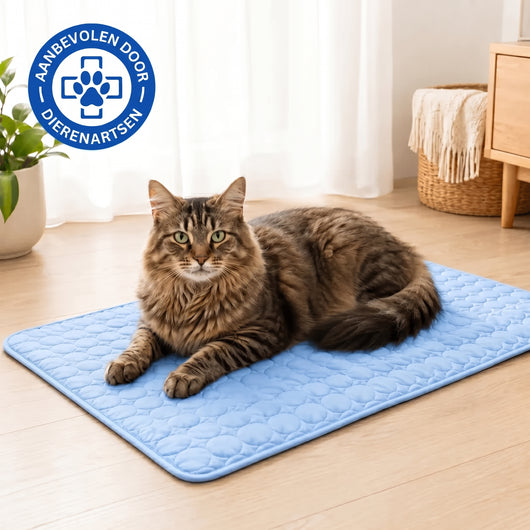 Bescherm je kat tegen een hitteberoerte met de Wooflyx™ koelmat