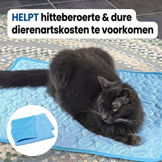 Bescherm je kat tegen een hitteberoerte met de Wooflyx™ koelmat